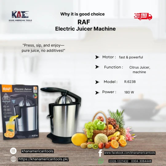RAF R.623B Electric Juicer | Electric Juicer Machine 180W - khan American Tools