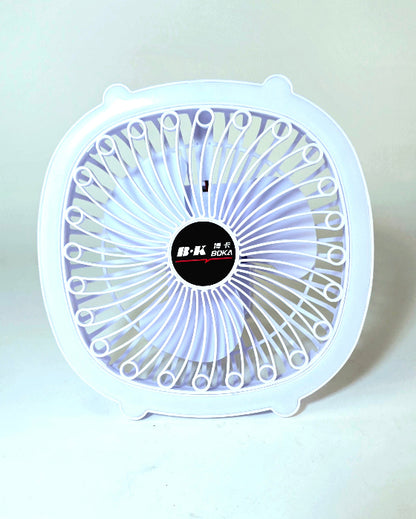Close-up of the fan’s