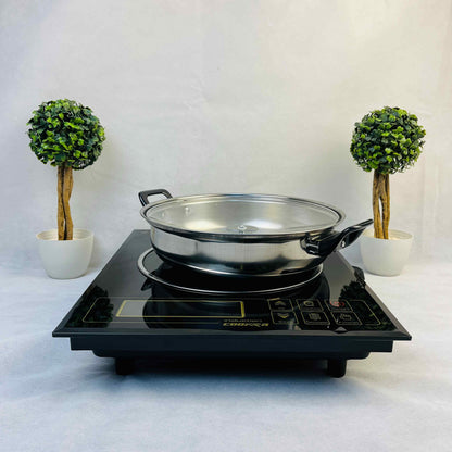 American Lot 3000W Hot Pot Electric Induction Cooktop