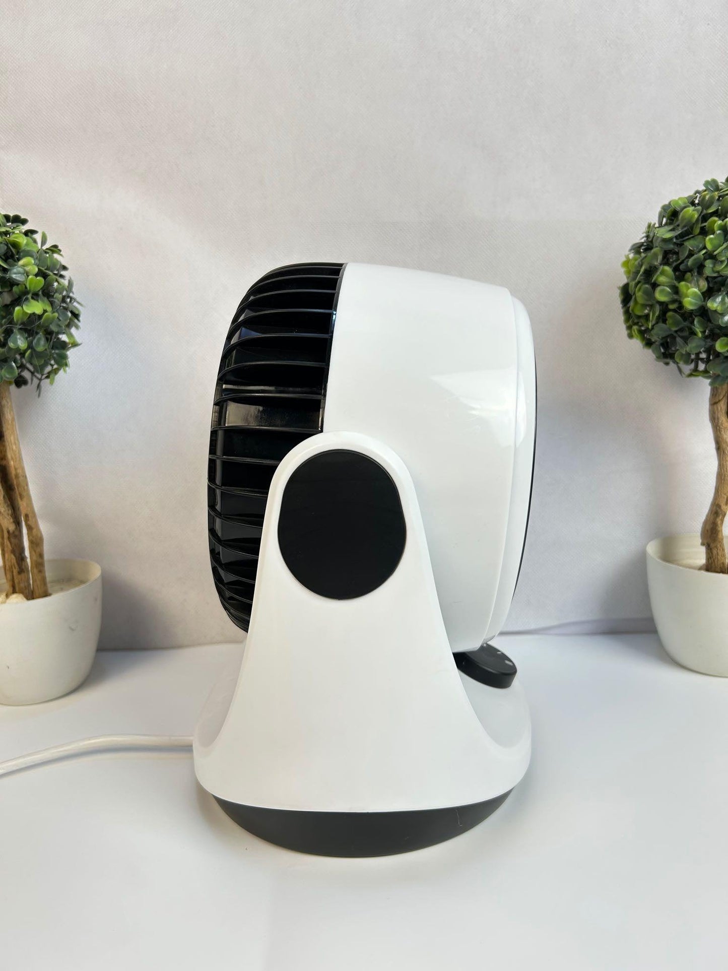 Electric fan heater